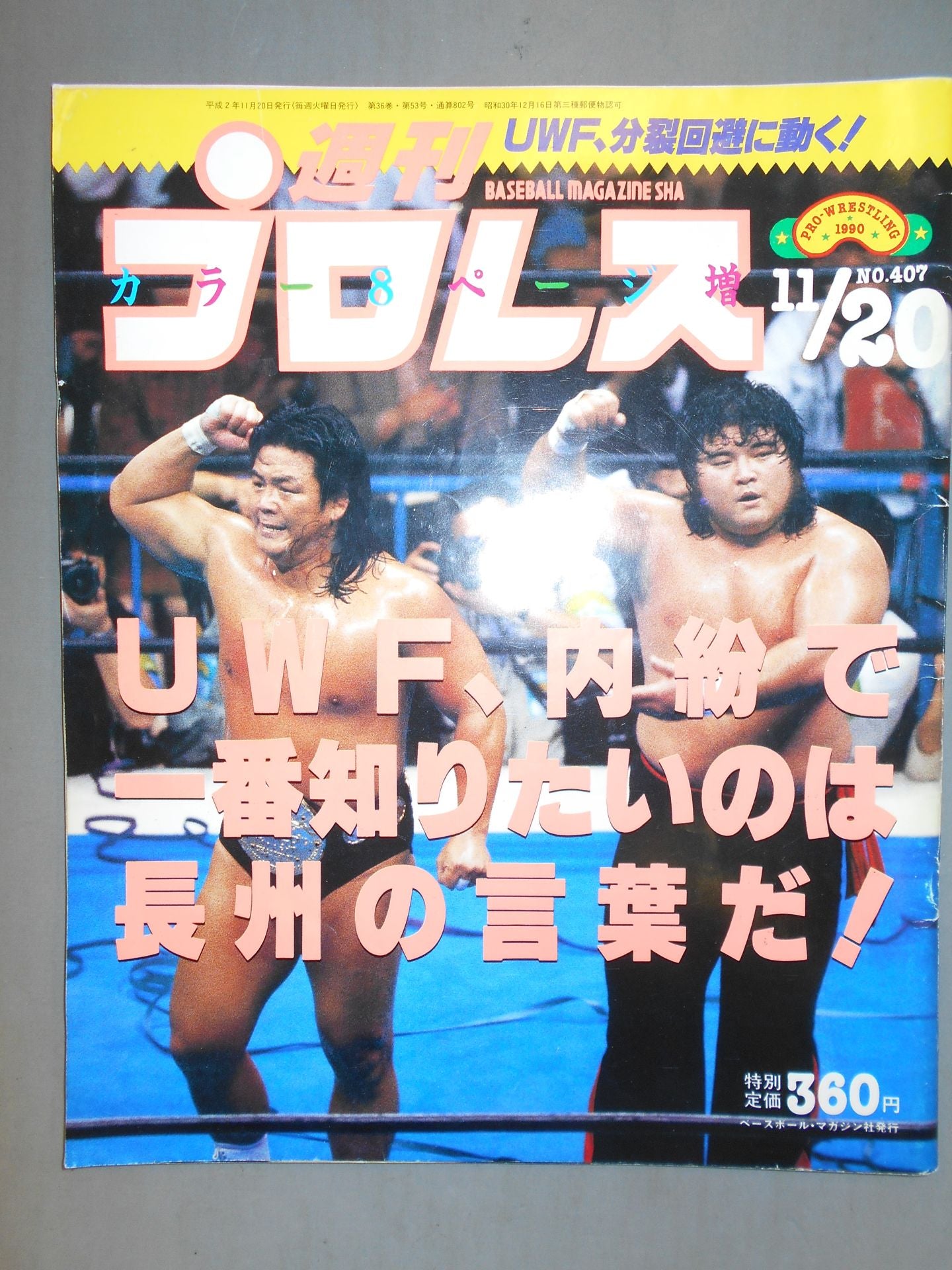 Weekly Pro Wrestling 407