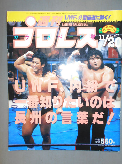Weekly Pro Wrestling 407
