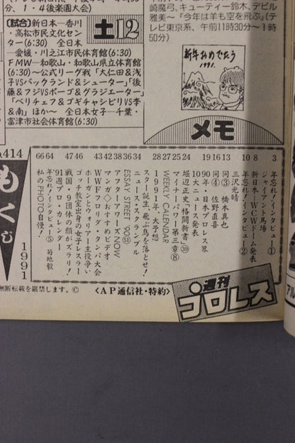 Weekly Pro Wrestling  414