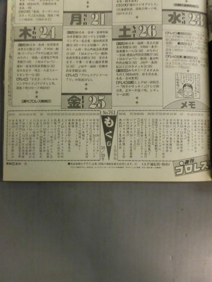 Weekly Pro Wrestling 761