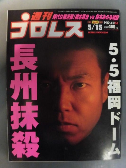 Weekly Pro Wrestling 1031