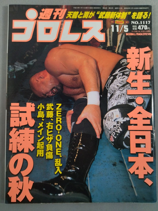 Weekly Pro Wrestling 1117