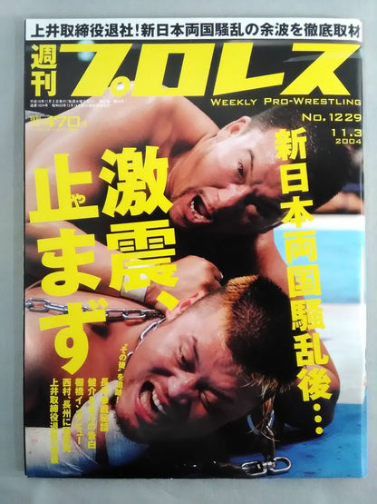 Weekly Pro Wrestling 1229