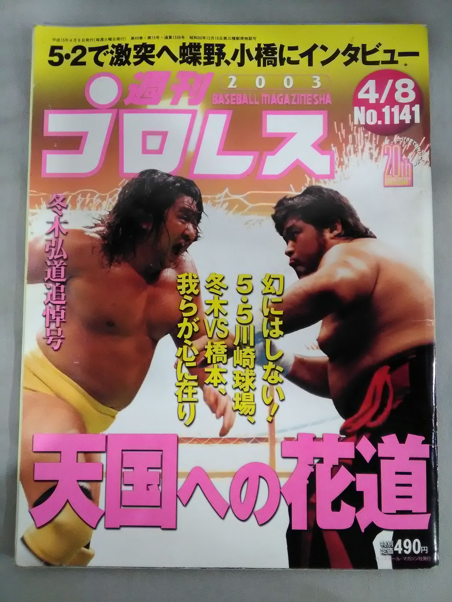 Weekly Pro Wrestling 1141