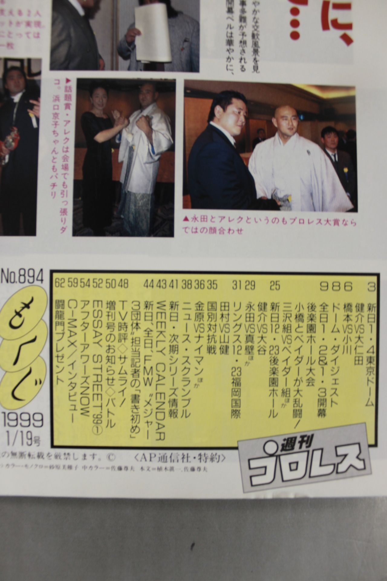 Weekly Pro Wrestling 894