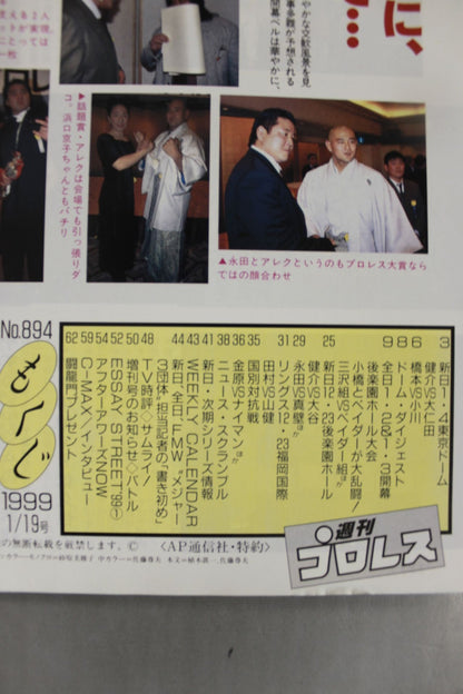 Weekly Pro Wrestling 894