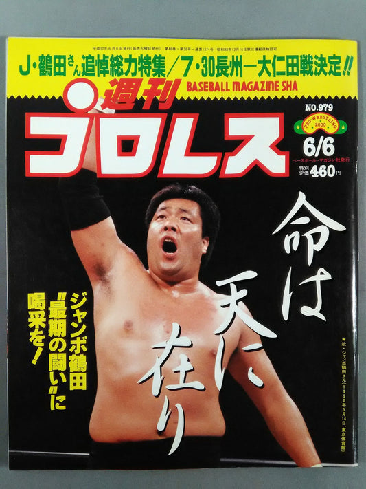 Weekly Pro Wrestling 979