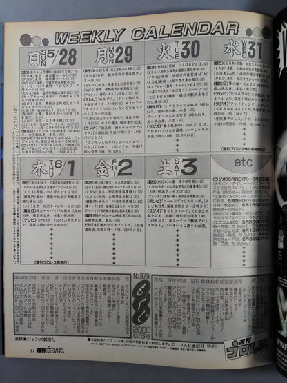 Weekly Pro Wrestling 979
