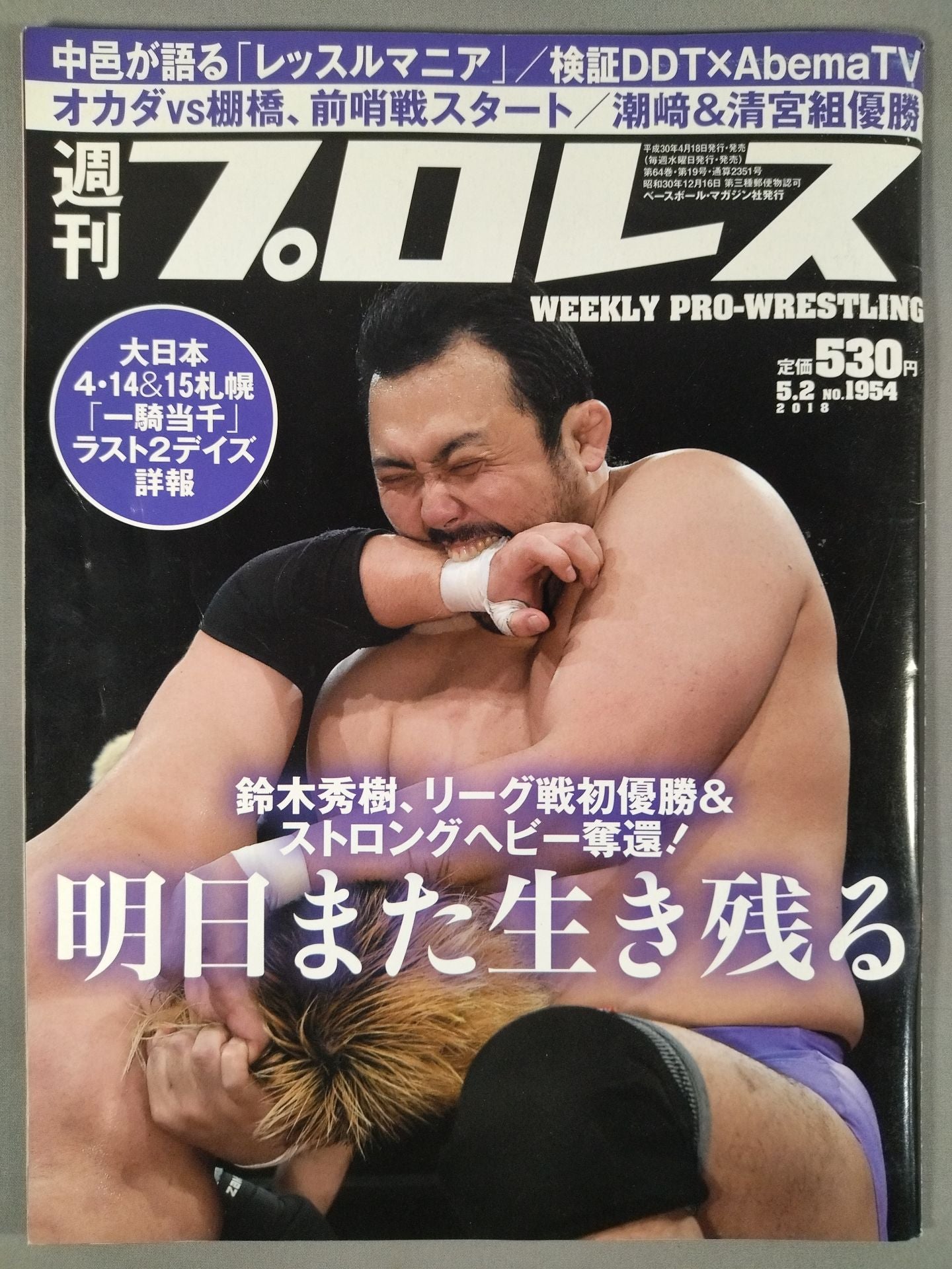 週刊プロレス1954