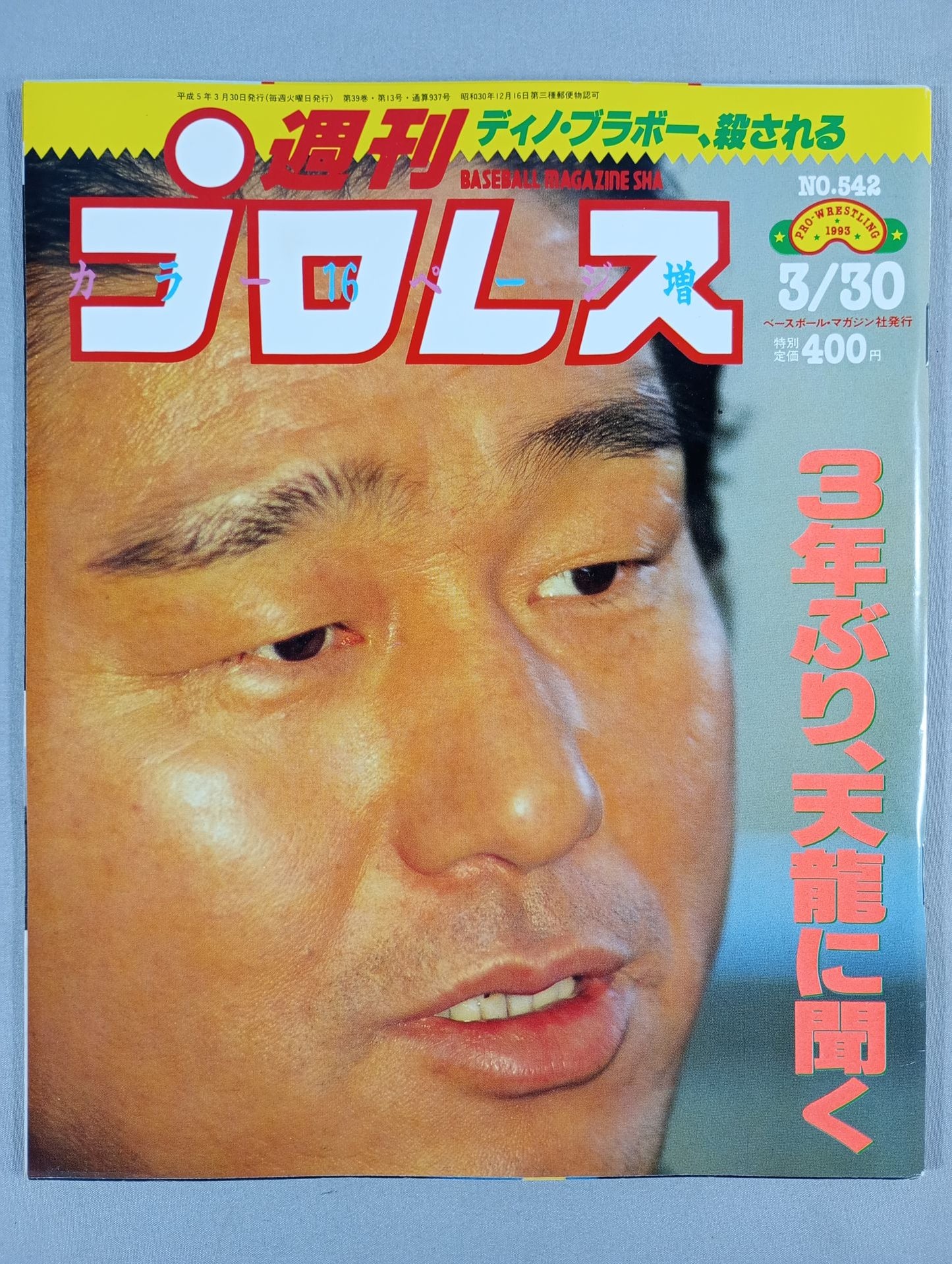 Weekly Pro Wrestling 542