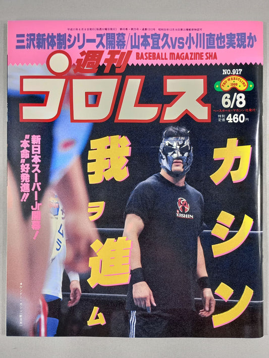 Weekly Pro Wrestling 917