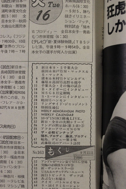 週刊プロレス163
