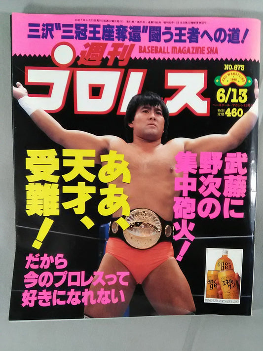 Weekly Pro Wrestling  673