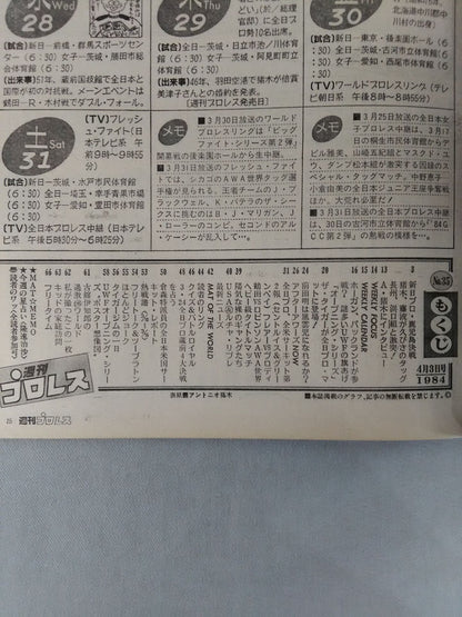 Weekly Pro Wrestling 35