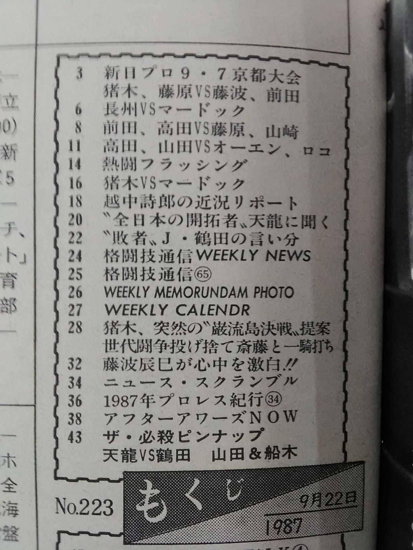  Weekly  Pro Wrestling 223