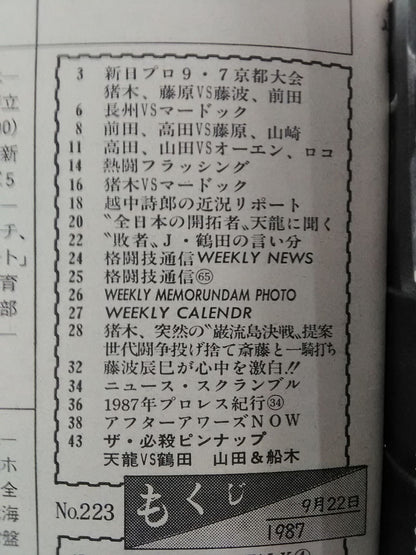  Weekly  Pro Wrestling 223