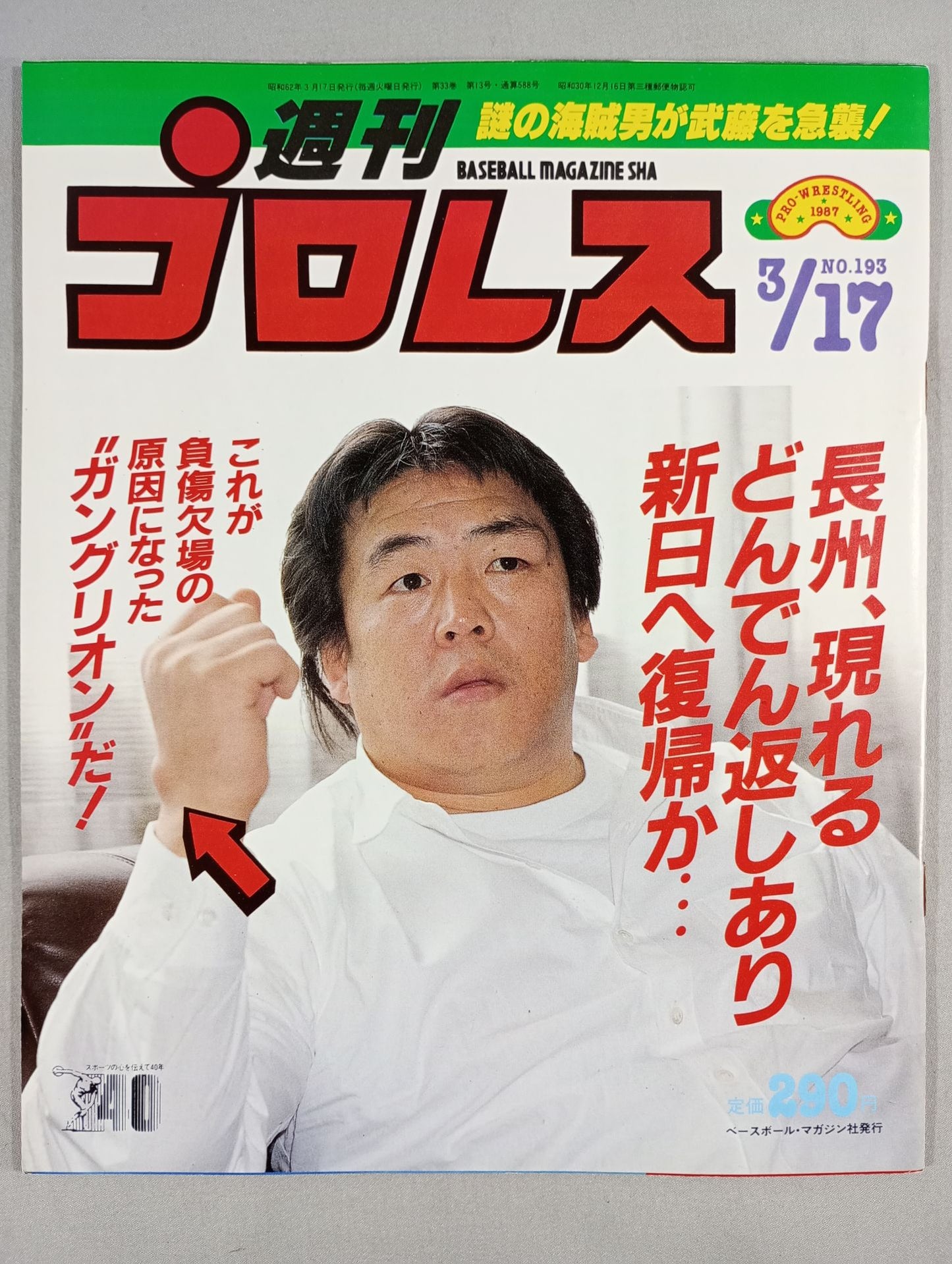 Weekly Pro Wrestling  193