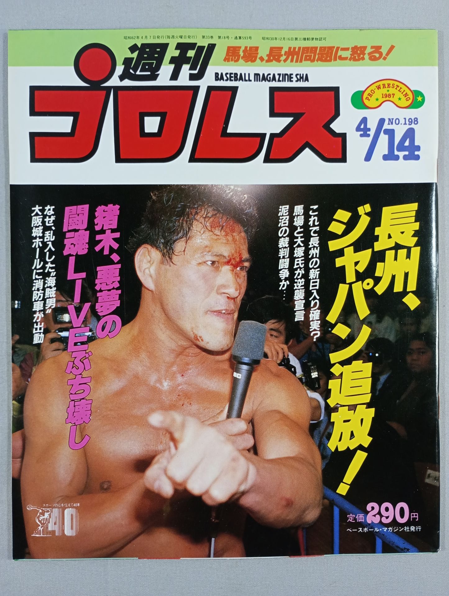 Weekly Pro Wrestling  198