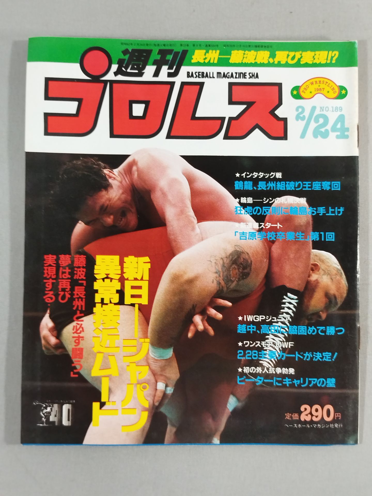 Weekly Pro Wrestling 189