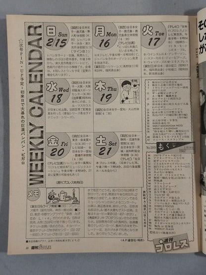 Weekly Pro Wrestling 189