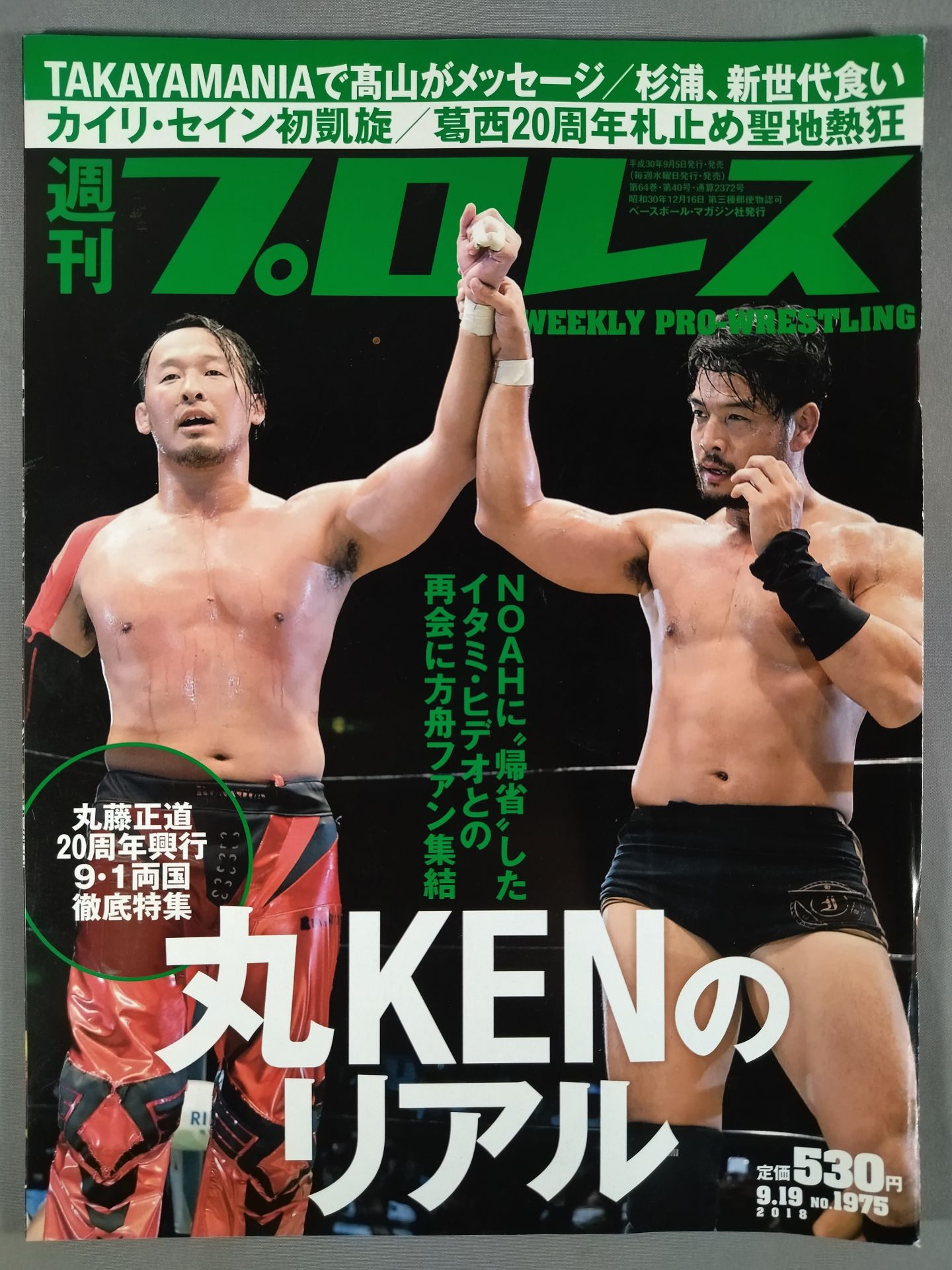 Weekly Pro Wrestling 1975