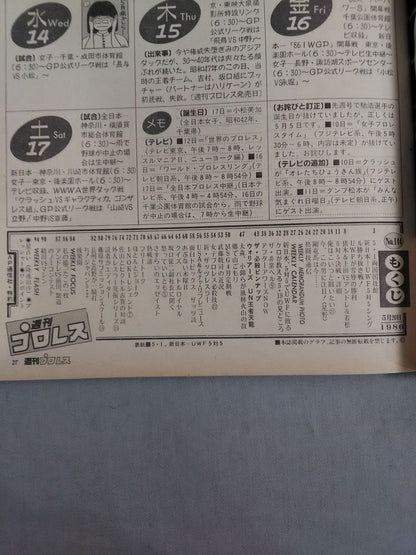Weekly Pro Wrestling  144