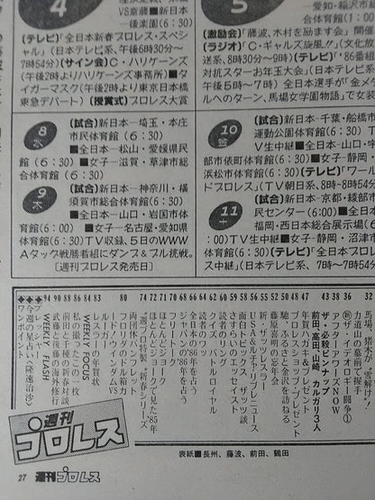 Weekly Pro Wrestling 126