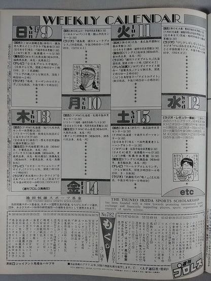 Weekly Pro Wrestling 782