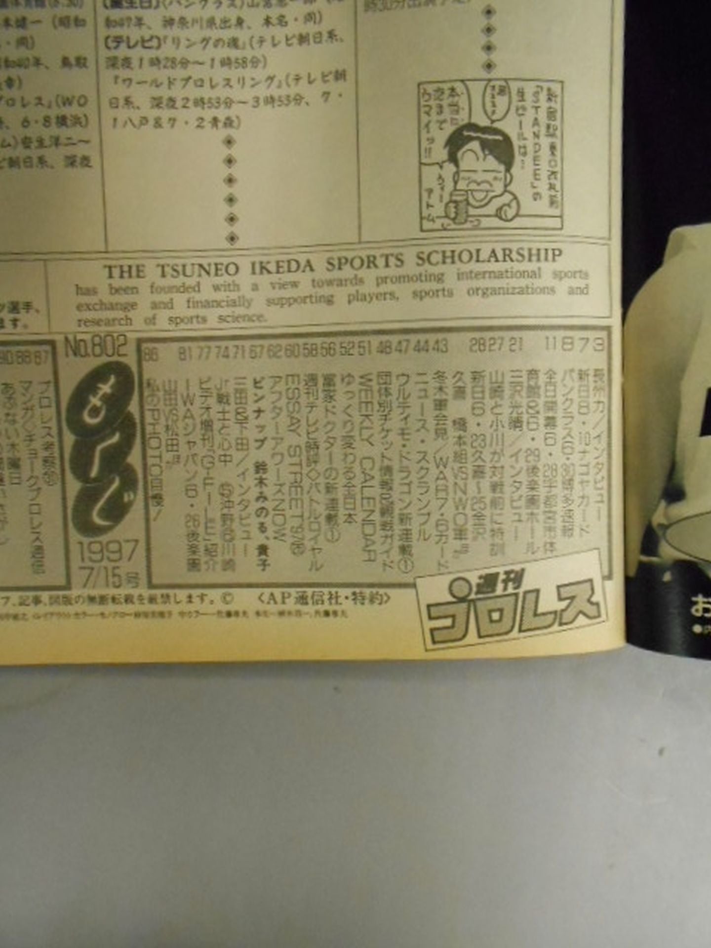 Weekly Pro Wrestling 802