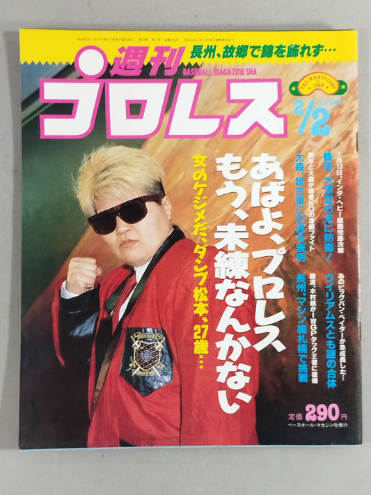 Weekly Pro Wrestling 241