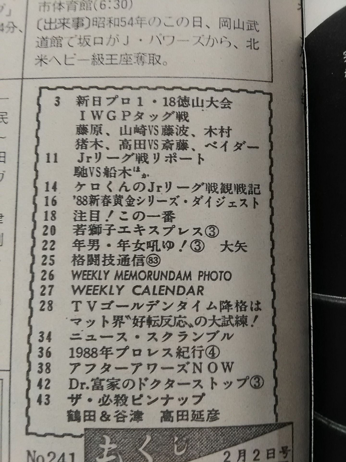 Weekly Pro Wrestling 241