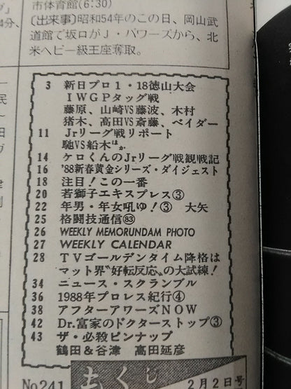Weekly Pro Wrestling 241