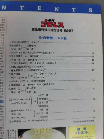 Weekly Pro Wrestling 1057