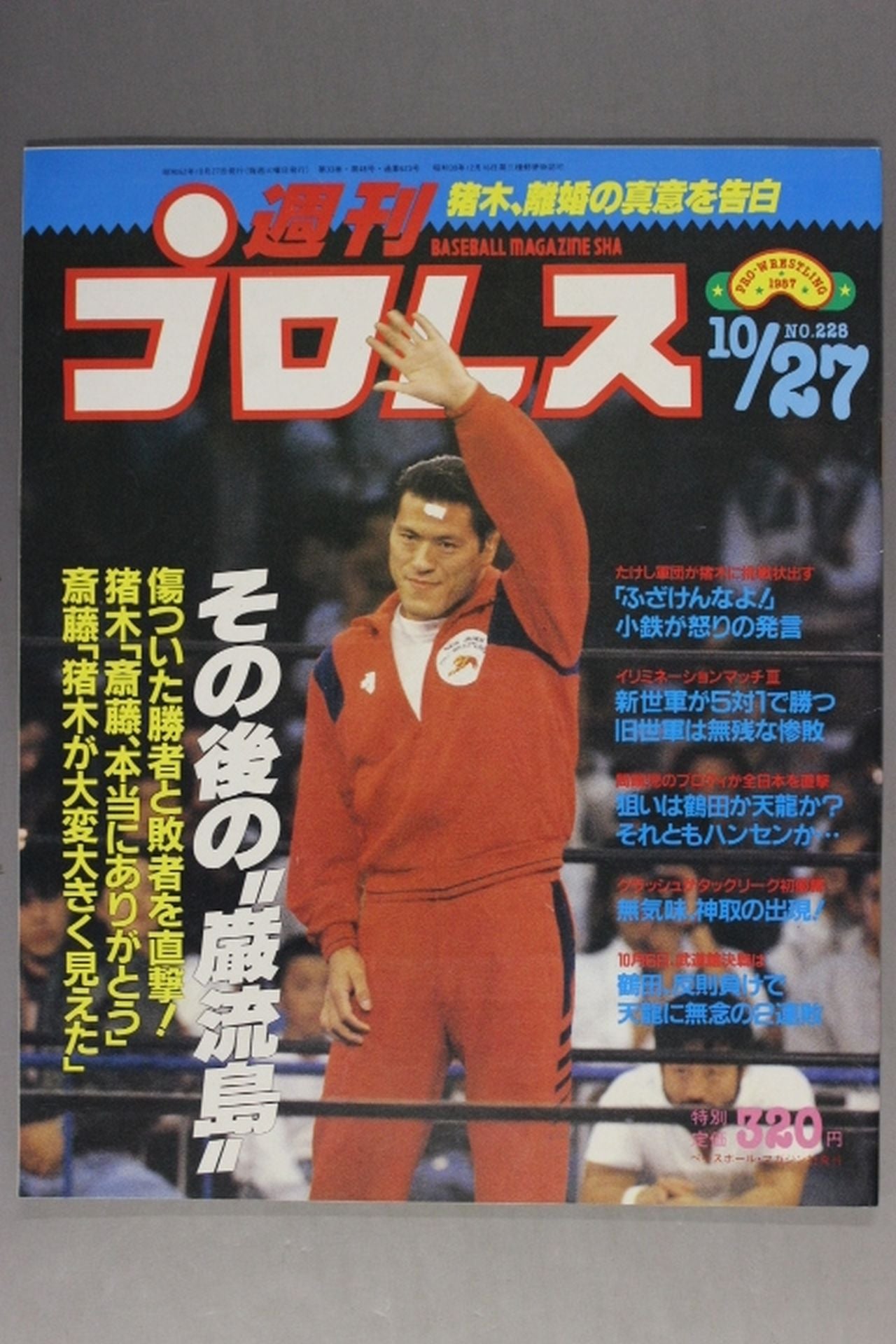 Weekly Pro Wrestling  228