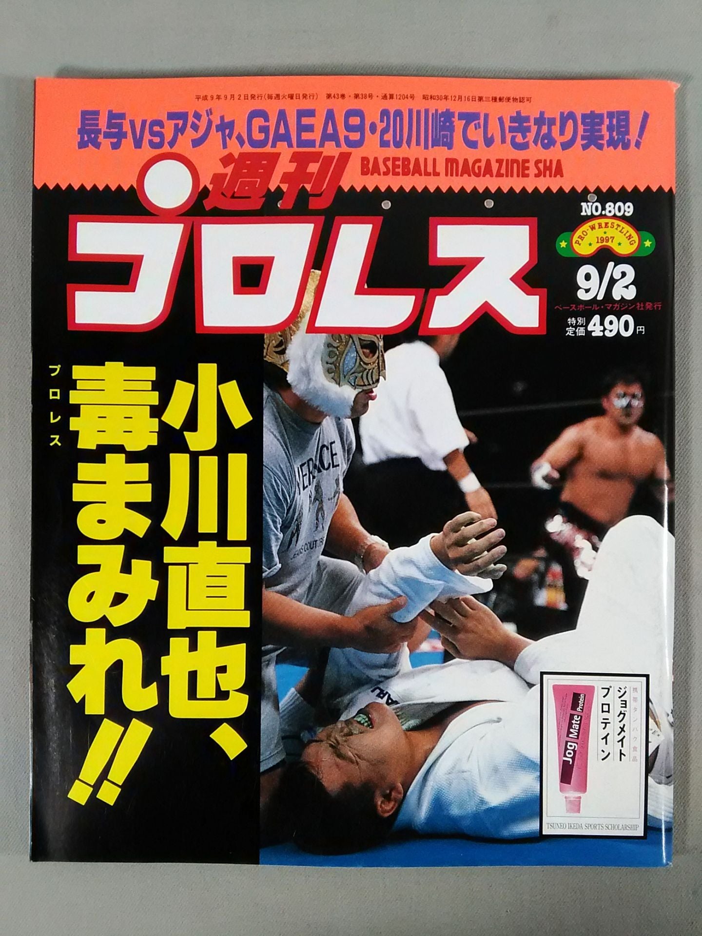 Weekly Pro Wrestling 809