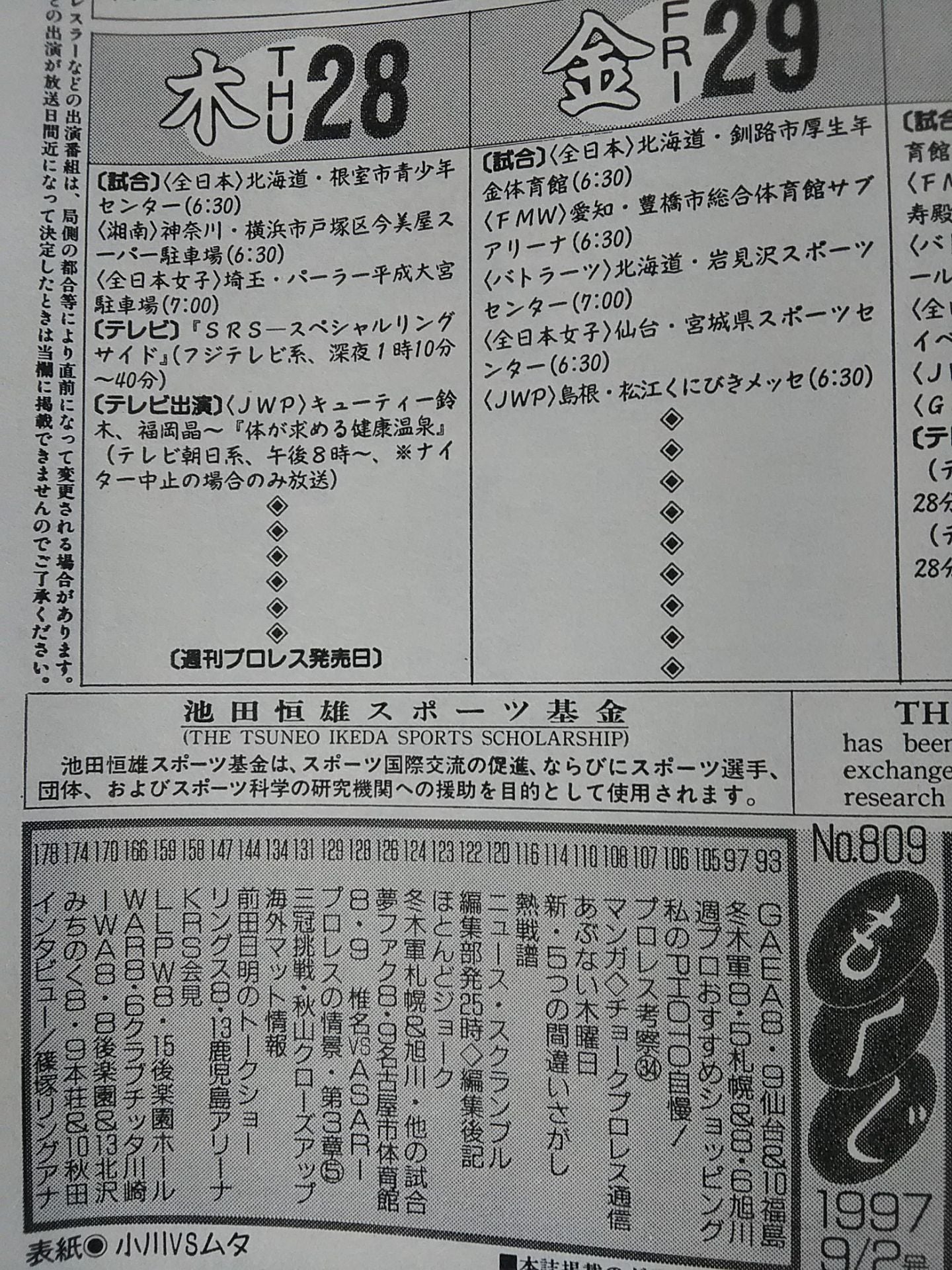 Weekly Pro Wrestling 809