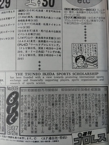 Weekly Pro Wrestling 809