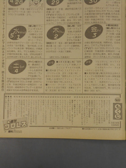 週刊プロレス91