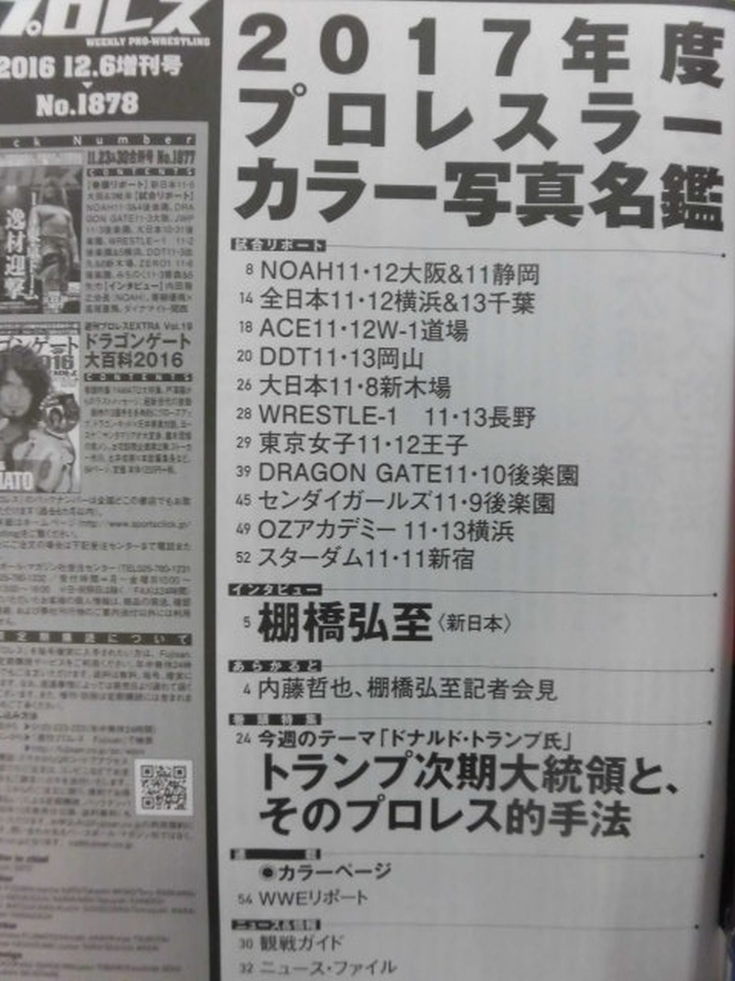 Weekly Pro Wrestling  1878