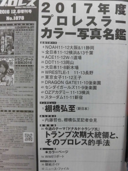 Weekly Pro Wrestling  1878