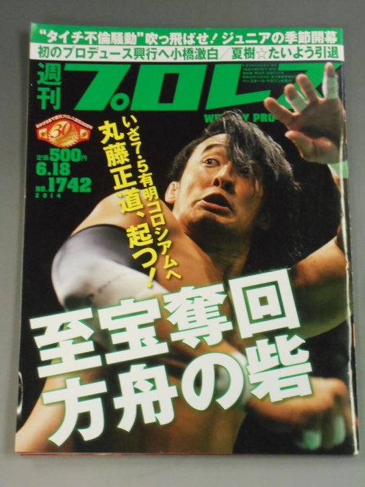 Weekly Pro Wrestling 1742