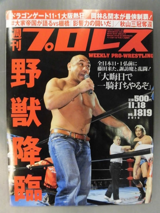 Weekly Pro Wrestling 1819