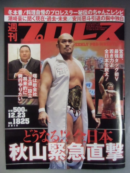 Weekly Pro Wrestling 1825