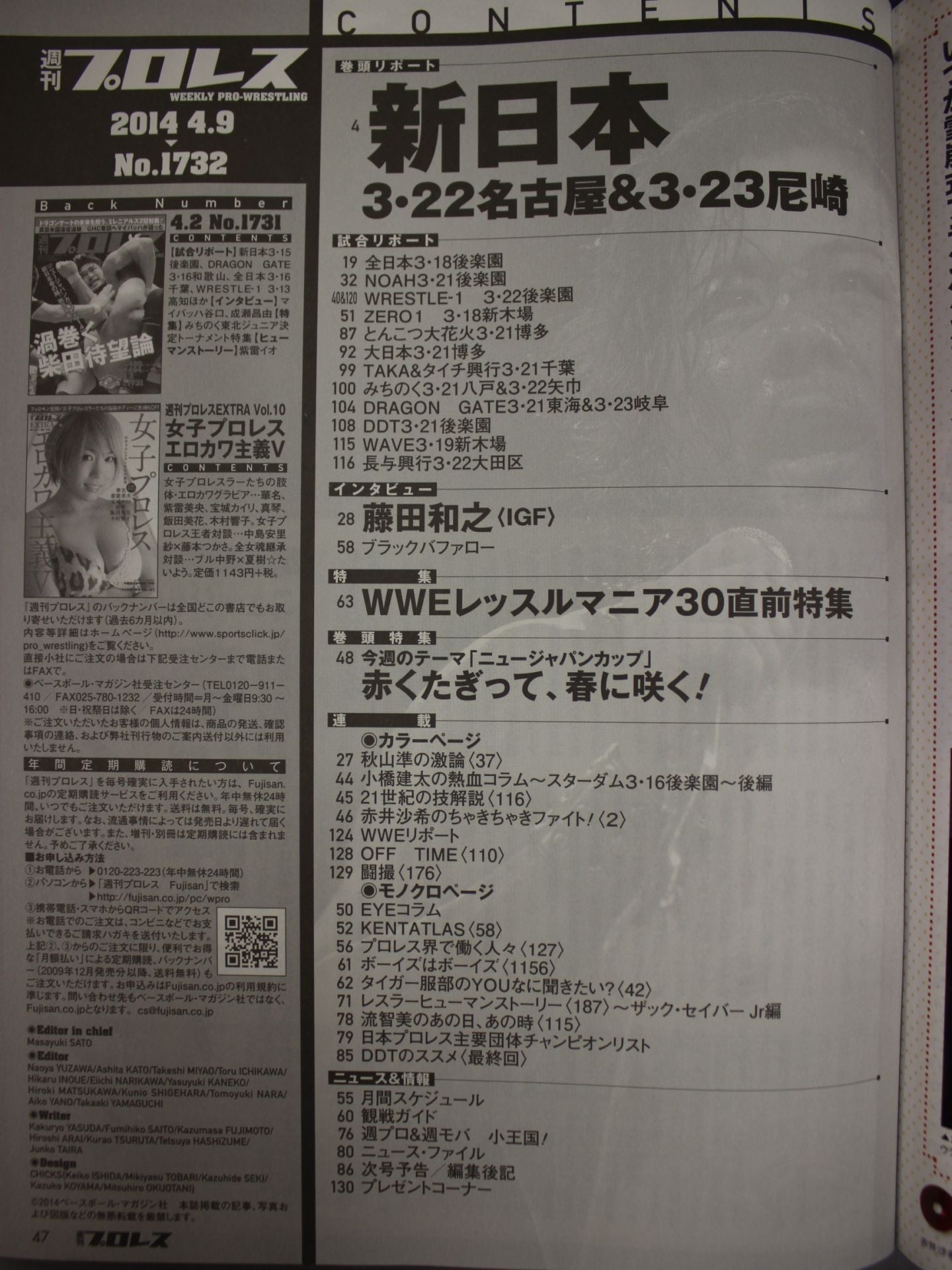 Weekly Pro Wrestling 1732