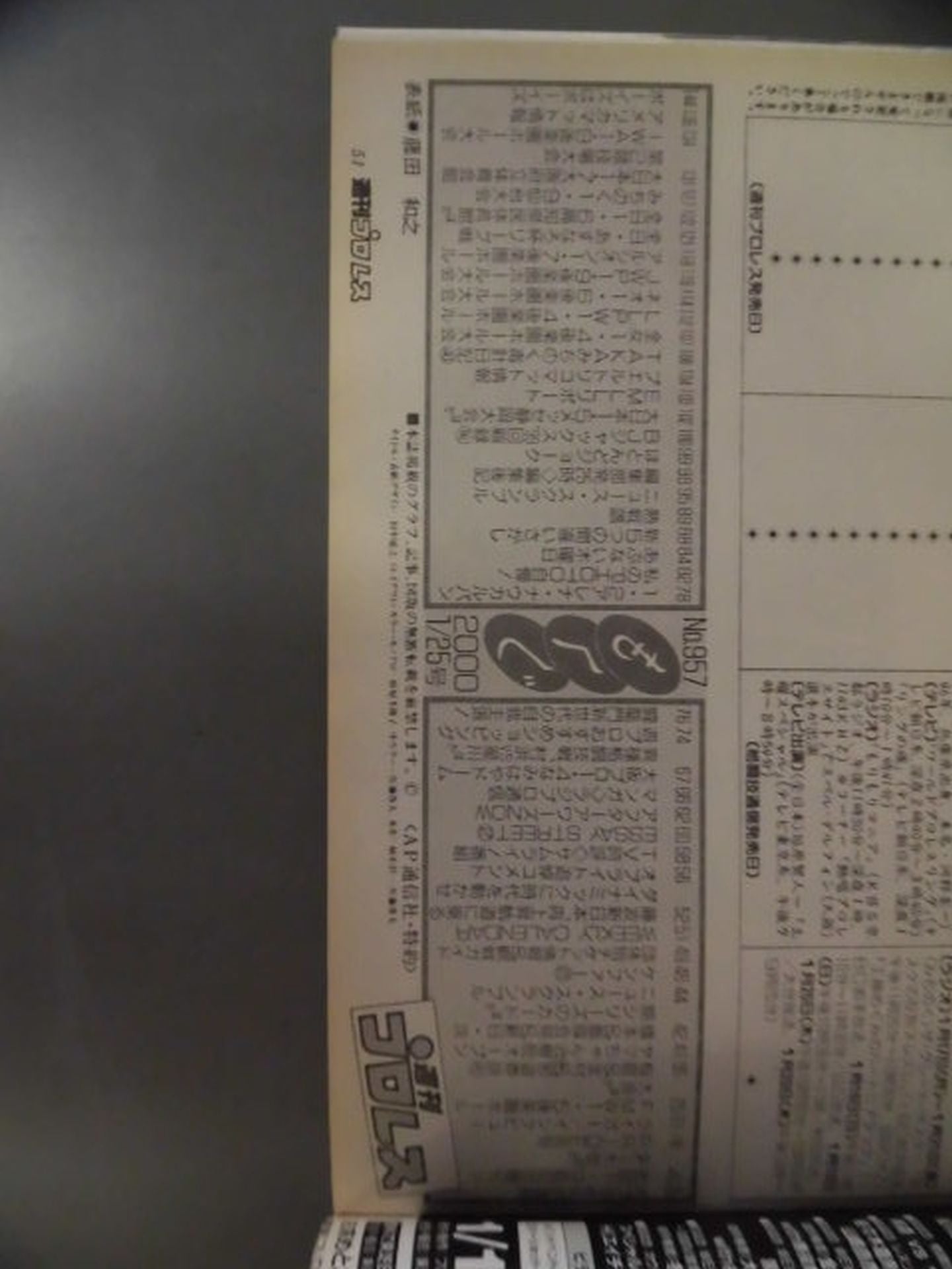 週刊プロレス957