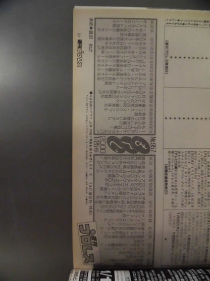 週刊プロレス957