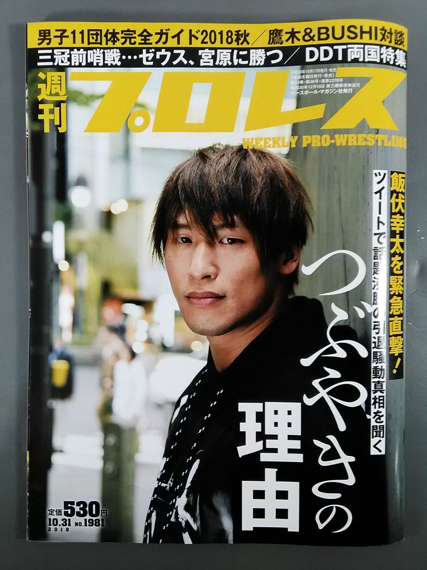 週刊プロレス1981