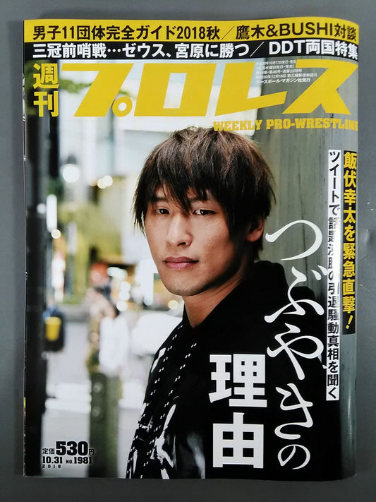 週刊プロレス1981