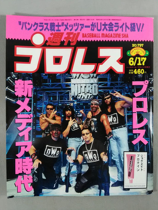 Weekly Pro Wrestling 797