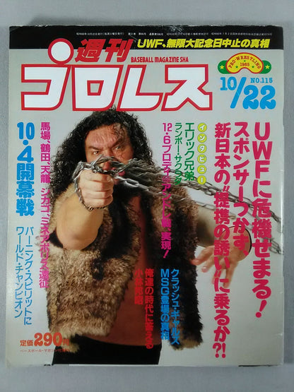 Weekly Pro Wrestling 115
